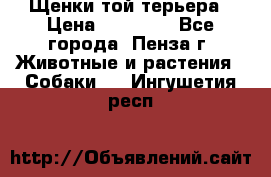 Щенки той терьера › Цена ­ 10 000 - Все города, Пенза г. Животные и растения » Собаки   . Ингушетия респ.